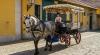 QTOUR - PASEOS TURISTICOS DE CHARRETE EN BELÉM